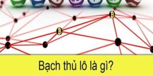 bạch thủ lô là gì